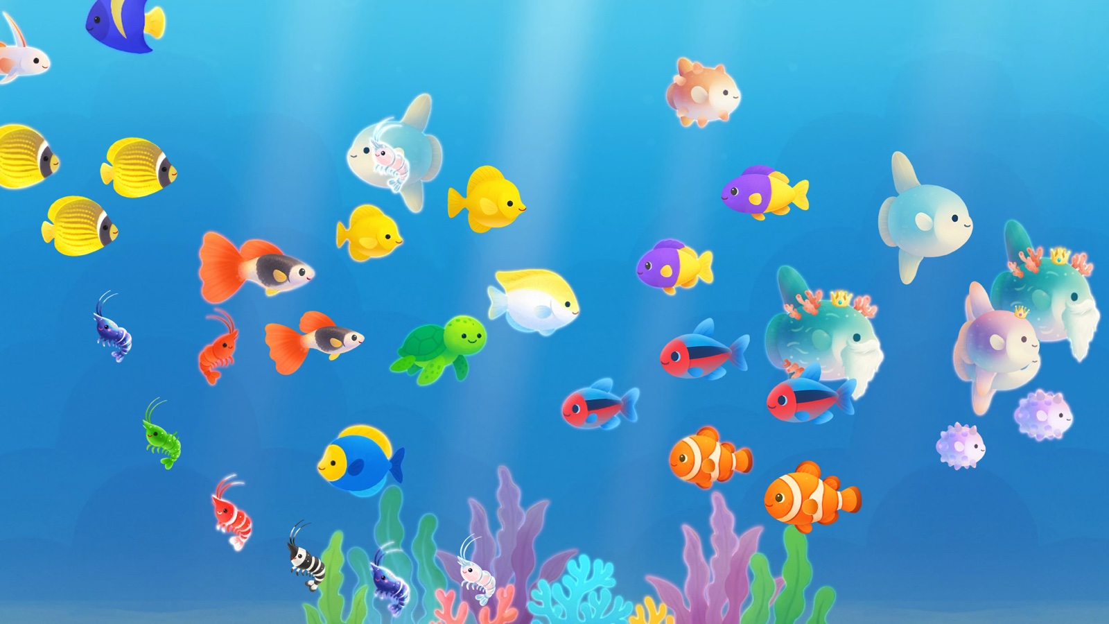 Match Aquarium